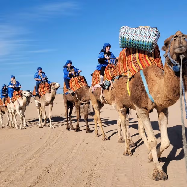 Dromedary Ride Two Hours
